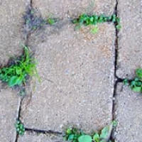 resin-bound-easy-maintenance